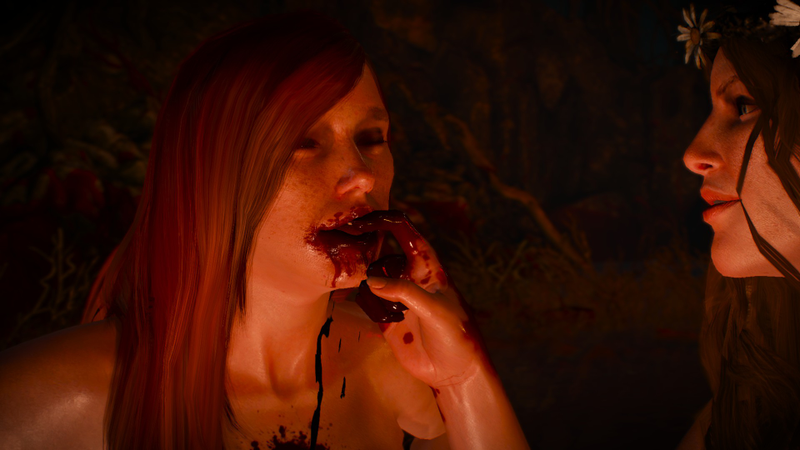 Illustration for article titled The Witcher 3, As Told Through Beautiful Screenshots
